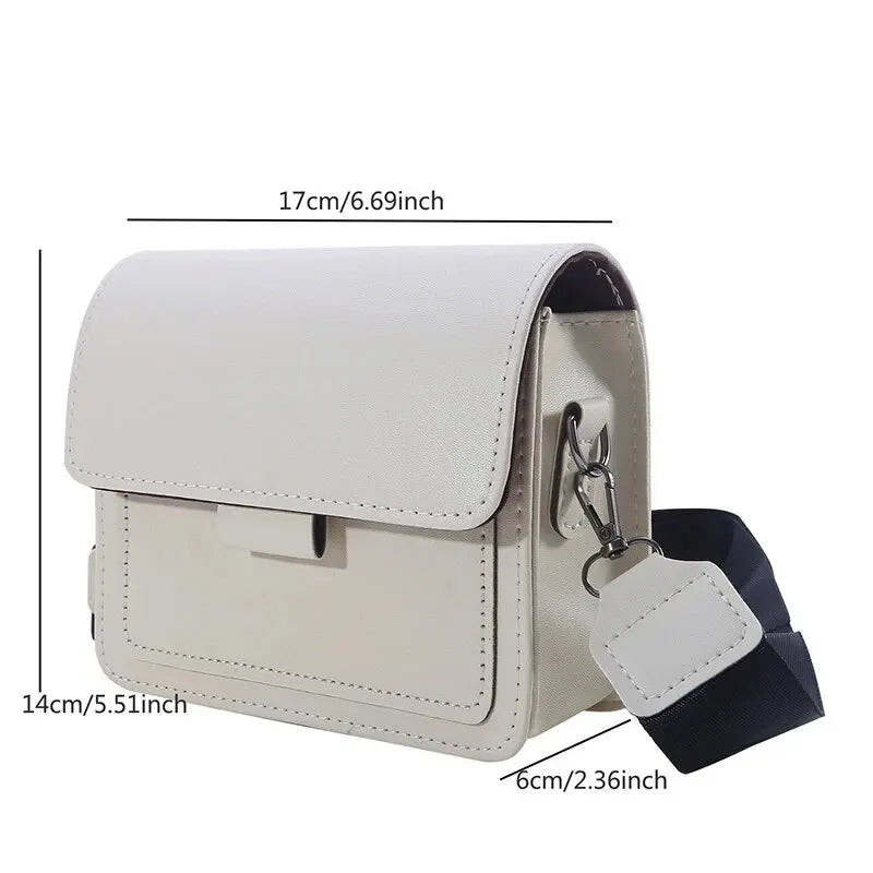 Classic Designer Handbag 