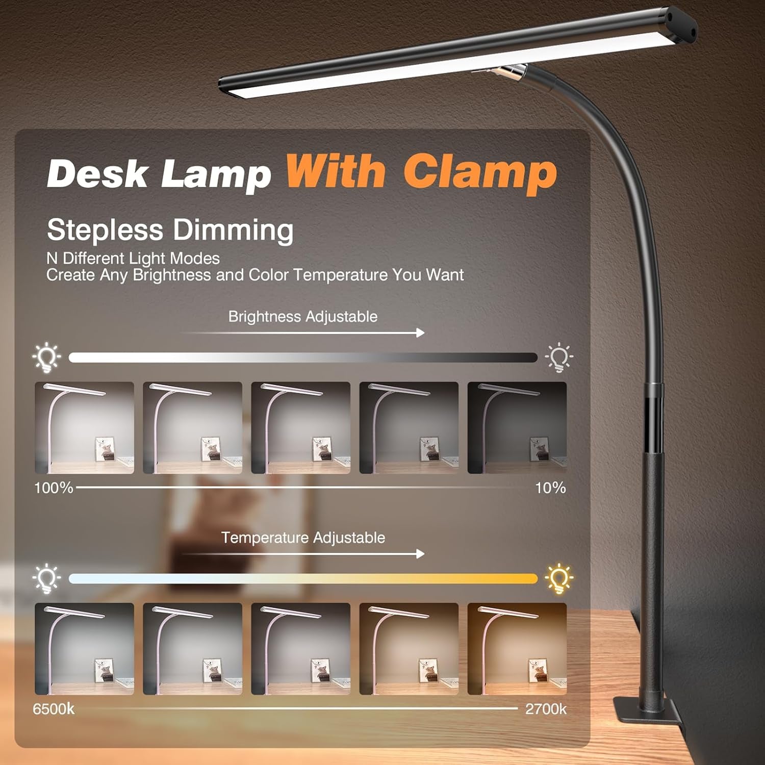 LED Desk Lamp